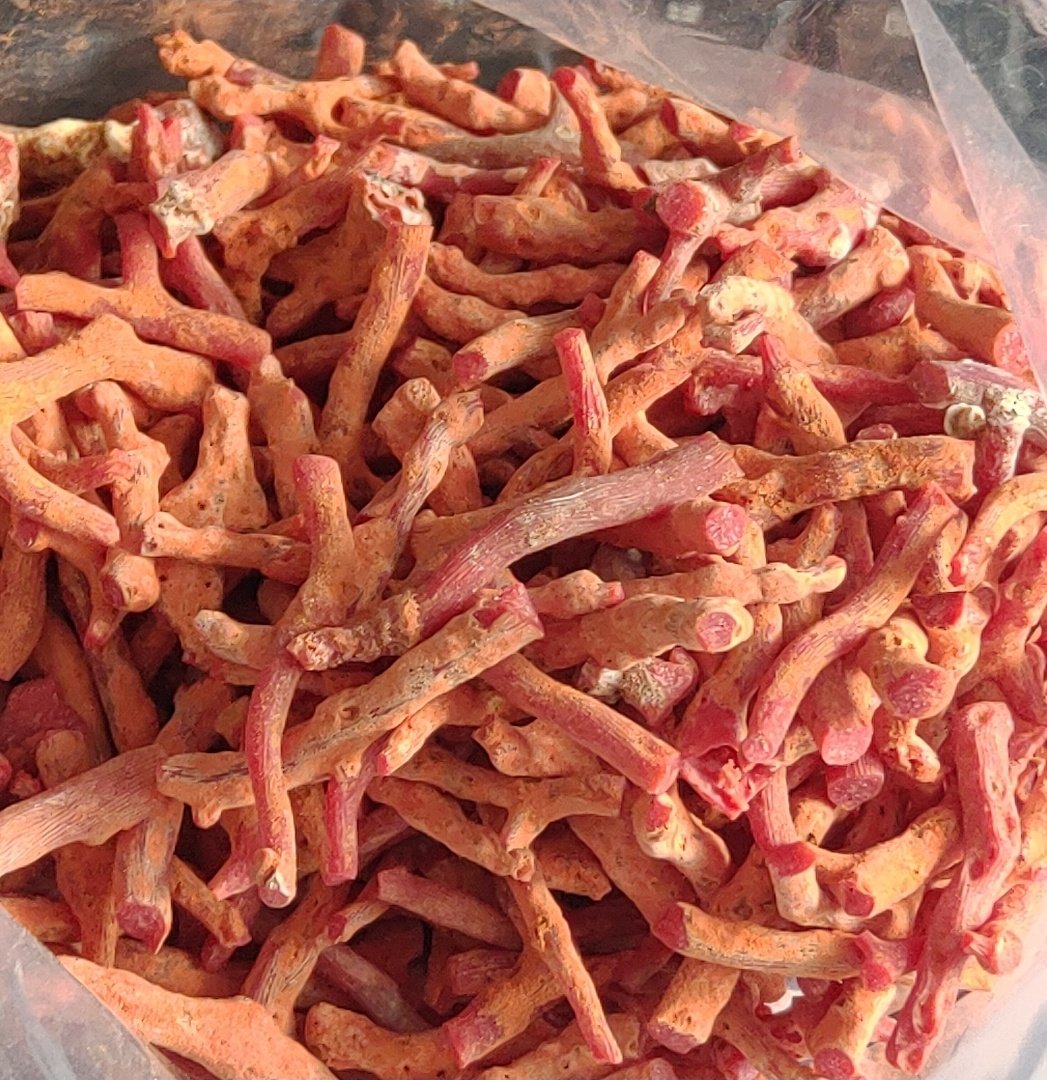 Italian Red Coral (मूँगा)
